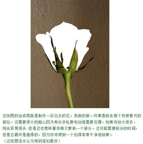 电脑培训