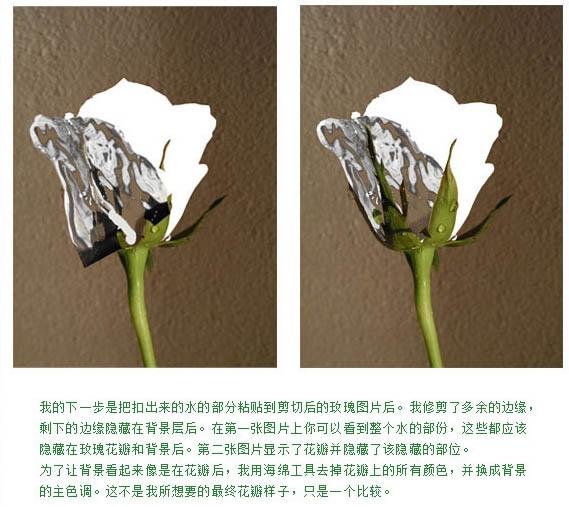平面设计培训