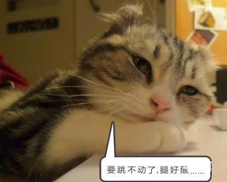 电脑培训,非凡学院