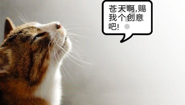 平面设计培训