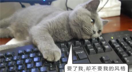 电脑培训,非凡学院