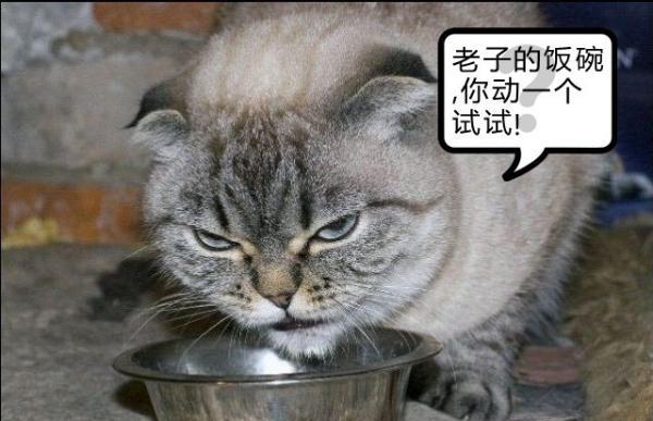 电脑培训,非凡学院